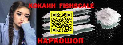 jwh Камышлов