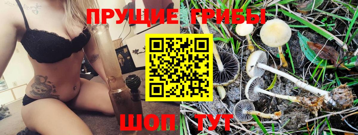 Галлюциногенные грибы прущие грибы Буйнакск